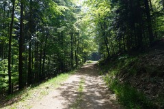 Forêt communale de Labaroche