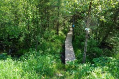 Superior Hiking Trail