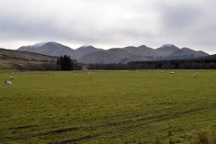 Crianlarich Hills